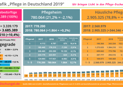 Pflege in Deutschland 2019