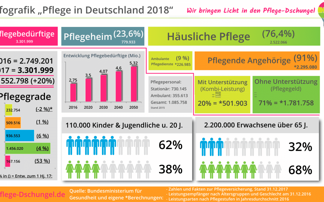 Pflege in Deutschland 2018