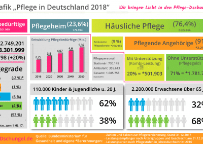 Pflege in Deutschland 2018