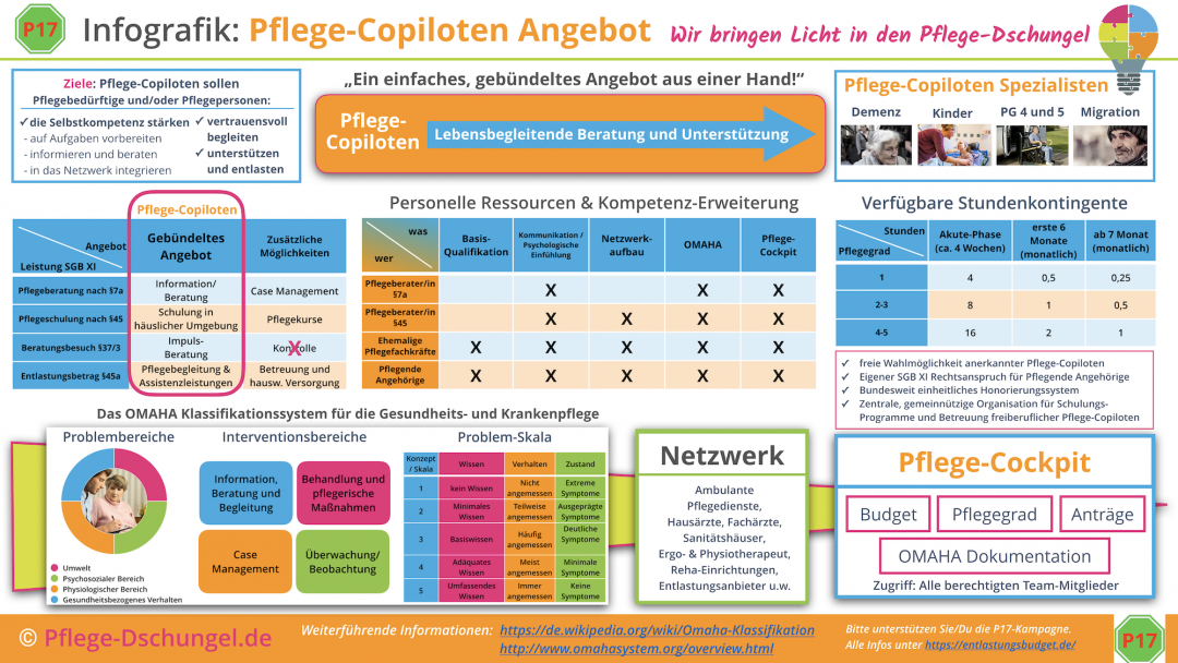 Infografik Pflege-Copilot soll deutschlandweit helfen.