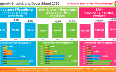 Pflege-Mix in Deutschland 2020