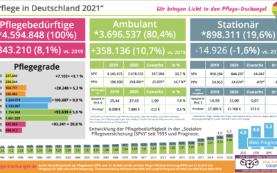 Infografik: Pflege in Deutschland 2021