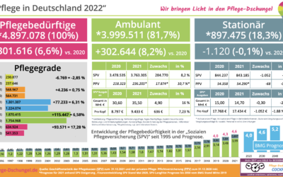 2022 deutlich mehr als 5 Mio. Pflegebedürftige in Deutschland.