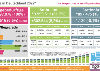 Pflege in Deutschland 2022