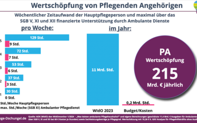 Was leisten ambulante Pflegehaushalte?